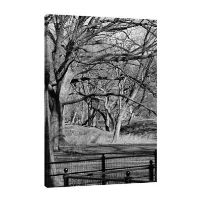 Jaxson Rea Central Park I By Jeff Pica - Wrapped Canvas Photograph