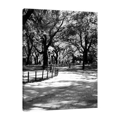 Jaxson Rea Central Park Walk 2 By Jeff Pica - Wrapped Canvas Photograph In Blue;black;gray;red;charcoal Gray;blue;b