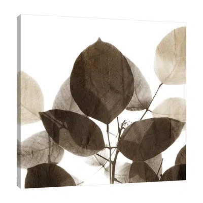 Jaxson Rea "chocolate Leaves 1" Gallery Wrapped Canvas By Kimberly Allen 15900
