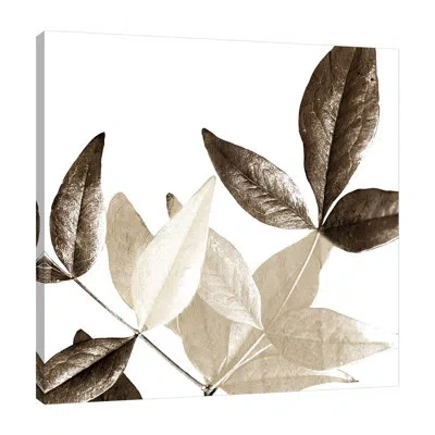 Jaxson Rea "chocolate Leaves 2" Gallery Wrapped Canvas By Kimberly Allen 15901