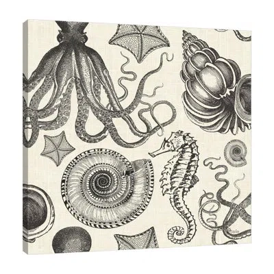 Jaxson Rea Coastal Farmhouse Pattern Ia By Pela Studio - Wrapped Canvas Print In Blue;white;gray;orange;sky Blue;mint Gre