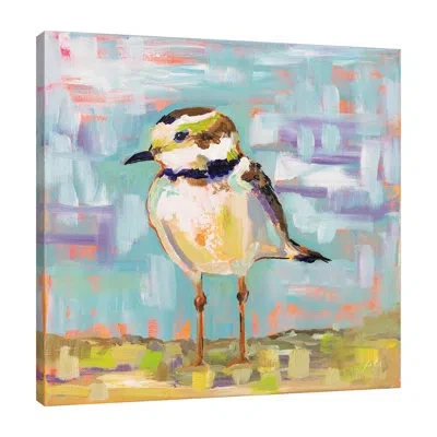 Jaxson Rea Coastal Plover Ii By Jeanette Vertentes - Wrapped Canvas Painting In Blue;black;white;gray;red;purple;charcoa