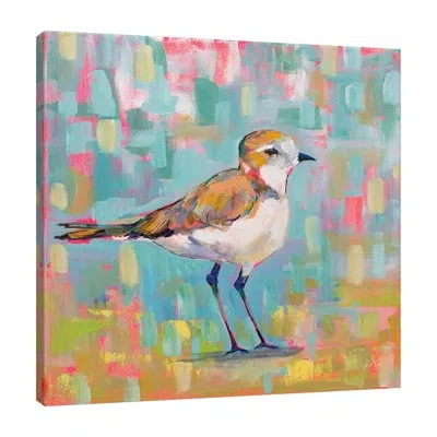 Jaxson Rea Coastal Plover Iii By Jeanette Vertentes - Wrapped Canvas Painting In Blue;white;gray;red;purple;sky Blue;char