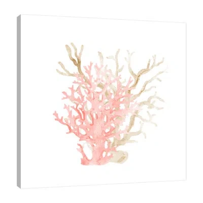 Jaxson Rea Coral Cove 3 By Kimberly Allen - Wrapped Canvas Painting In Light Blue,brown