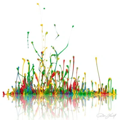 Jaxson Rea "ebb & Flow" By Don Farrall Graphic Art On Wrapped Canvas In Green,red