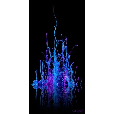 Jaxson Rea "enchanted Castle" By Don Farrall Graphic Art On Wrapped Canvas In Black,blue