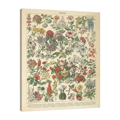 Jaxson Rea French Flower Chart By Wild Apple Portfolio - Wrapped Canvas Print In Blue;black;gray;yellow;charcoal Gray;sea