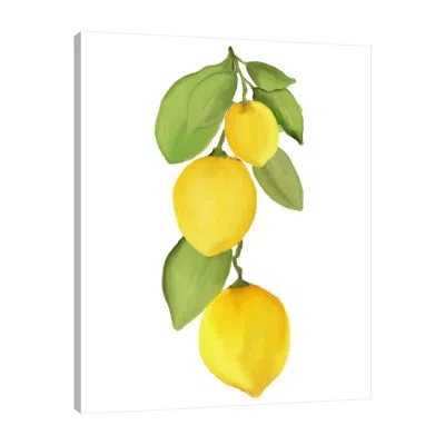 Jaxson Rea "fresh Lemons 4" Gallery Wrapped Canvas By Kimberly Allen 15201 In White;green;gray;red;sky Blue