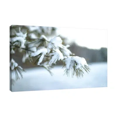 Jaxson Rea Frosted White Pine By Sue Schlabach - Wrapped Canvas Print In Blue;black;gray;red;lime Green;charcoal