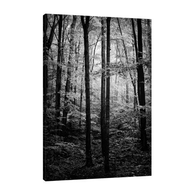 Jaxson Rea Grove By Joseph Rowland - Wrapped Canvas Photograph In Blue;black;white;gray;charcoal Gray;blue
