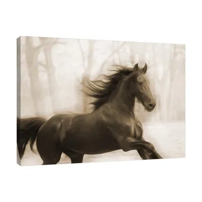 Jaxson Rea Horse In The Wind By Milli Villa - Wrapped Canvas Print In Black;white;gray;mist Gray;charcoal Gray