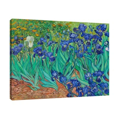 Jaxson Rea Irises By Wild Apple Portfolio - Wrapped Canvas Print In Blue;black;gray;red;charcoal Gray;sea Gr