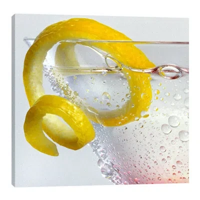 Jaxson Rea 'lemon On Twist' By Barry Seidman Wall Art On Wrapped Canvas In Yellow And White