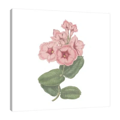 Jaxson Rea Monument Etching Tile Flowers Vi By Wild Apple Portfolio - Wrapped Canvas Print In White;gray;tan White;ivory White;mist Gr