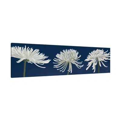 Jaxson Rea "morning Chrysanthemums V Dark Blue" Gallery Wrapped Canvas By Kathrine Lovell In Black,blue,charcoal Gray,gray,lime Green,red,red,black,gray