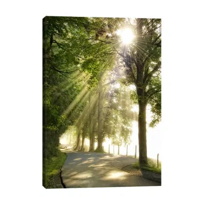 Jaxson Rea "morning Fresh" By Dano Photographic Print On Wrapped Canvas In Green