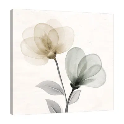Jaxson Rea "open Bloom 1" Gallery Wrapped Canvas By Kimberly Allen 15898 In White;gray;red;purple;pale Yellow;mist G