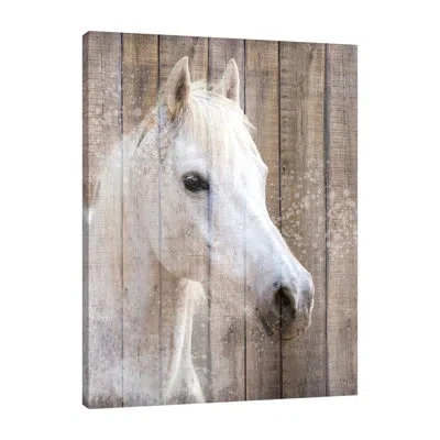 Jaxson Rea "painted White" Gallery Wrapped Canvas By Kimberly Allen 15870 In Blue;gray;red;purple;charcoal Gray;blue;