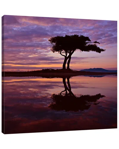Jaxson Rea Perspectives By Dominic Liam