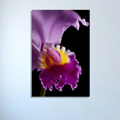 Jaxson Rea 'purple Orchid' By Barry Seidman Photographic Print On Wrapped Canvas In Purple,black