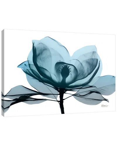 Jaxson Rea Reajax Enterprises Midnight Magnolia By Albert Koetsier