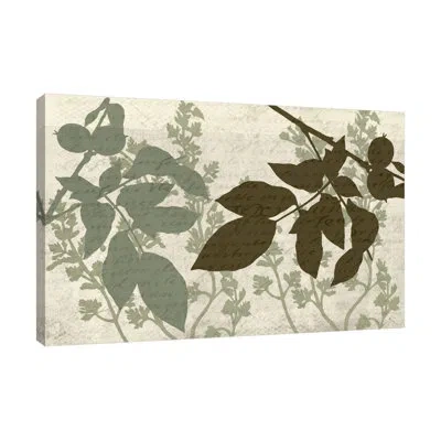 Jaxson Rea "sage 3" Gallery Wrapped Canvas By Kimberly Allen In Gray;red;mist Gray;rose Red;cranberry Re