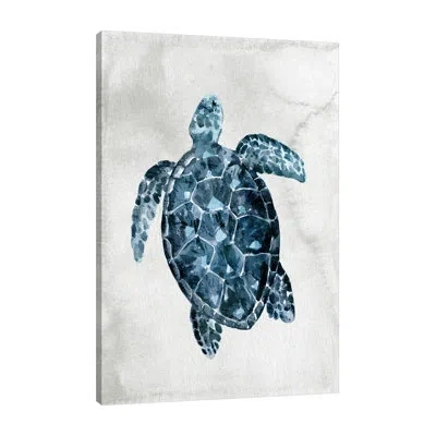 Jaxson Rea "sea Life 2" Gallery Wrapped Canvas By Kimberly Allen 17980 In Black;white;gray;red;mist Gray