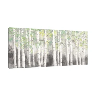Jaxson Rea Soft Birches Charcoal By James Wiens - Wrapped Canvas Painting