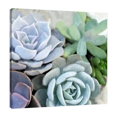 Jaxson Rea "succulent Garden 2" Gallery Wrapped Canvas By Kimberly Allen In Black;gray;red;charcoal Gray;jade Blue