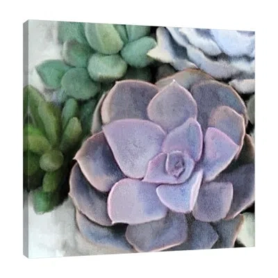 Jaxson Rea "succulent Garden 3" Gallery Wrapped Canvas By Kimberly Allen In Black;gray;red;purple;steel Blue;cranber