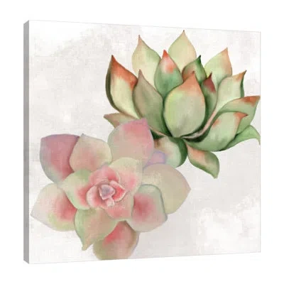 Jaxson Rea "succulent Summer 2" Gallery Wrapped Canvas By Kimberly Allen In Blue;white;gray;purple;mist Gray;salmon