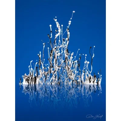 Jaxson Rea "symphonic Blue" By Don Farrall Graphic Art On Wrapped Canvas In Blue,silver