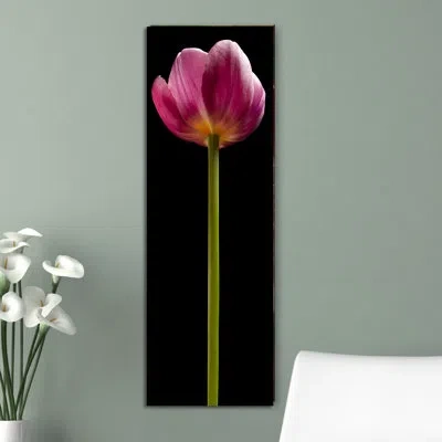Jaxson Rea Tall Purple Tulip - Wrapped Canvas Photograph Print In Black And Purple