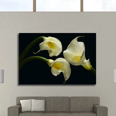 Jaxson Rea 'three Calla Lillies' By Barry Seidman Photographic Print On Wrapped Canvas In Black And Yellow