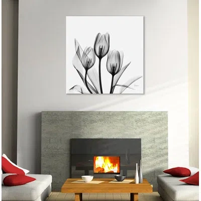 Jaxson Rea "tulip Gray 2" Gallery Wrapped Canvas By Albert Koetsier