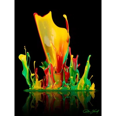 Jaxson Rea "water Lilly" By Don Farrall Graphic Art On Wrapped Canvas In Black,orange,green