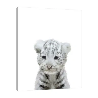 Jaxson Rea "white Tiger" Gallery Wrapped Canvas By Leah Straaham In Blue,off White,red