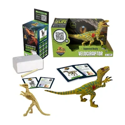 Jay At Play Ar Dino Explorer Combo 2-pc. Toy Playset In Multi