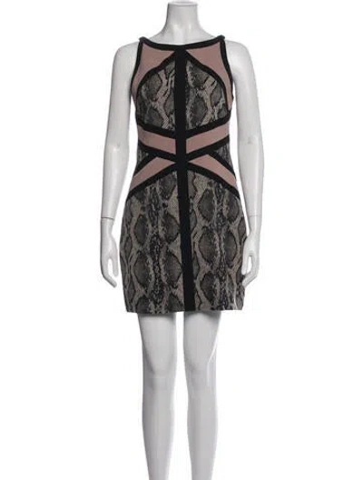 Pre-owned Jay Godfrey Animal Print Mini Dress In Multicolor