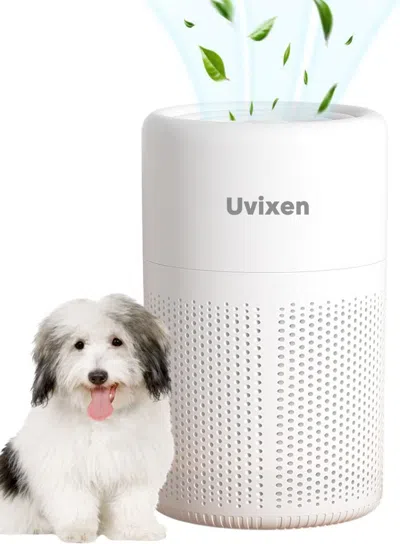 Jayedo Air Purifiers For Home - Mini Air Purifier With Hepa Air Filter- Usb Operated Air Purifier For Bedro In White