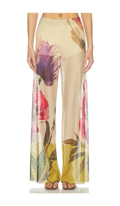 Jbq Coast Pant In Brown