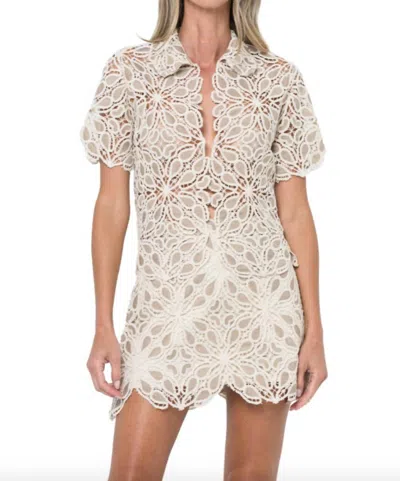 Jbq Millie Lace Macrame Mini Skirt In Taupe In Brown