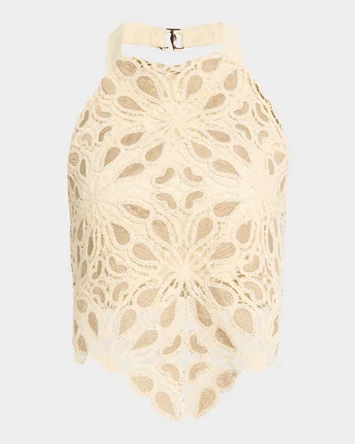 Jbq Siri Crochet Halter Crop Top In Taupe
