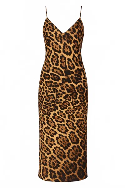 Jbq Women's Savannah Midi Dress In Leopard In Brown