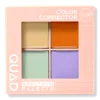 J.cat Beauty Color Corrector Quad Spectrum Palette