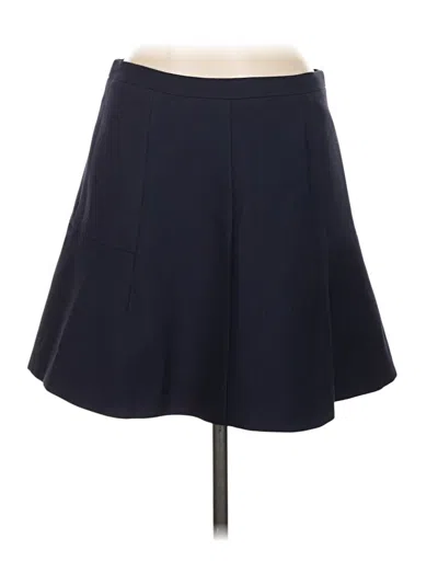 Pre-owned Jcrew Casual Skirt In Blue