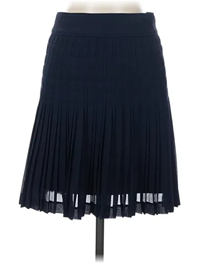 Pre-owned Jcrew Casual Skirt In Blue