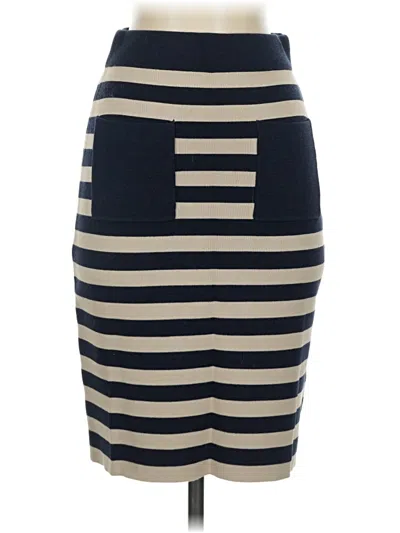 Pre-owned Jcrew Casual Skirt In Blue
