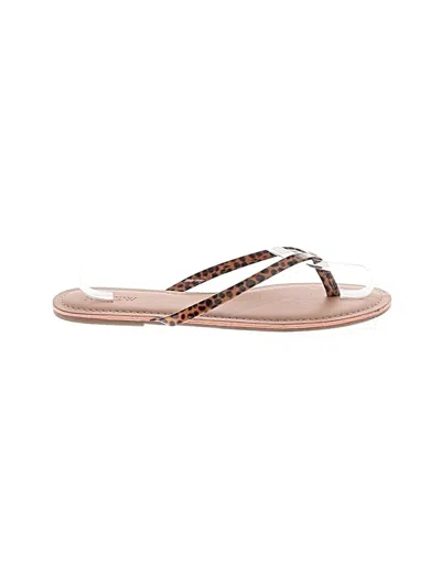 Pre-owned Jcrew Flip Flops In Brown