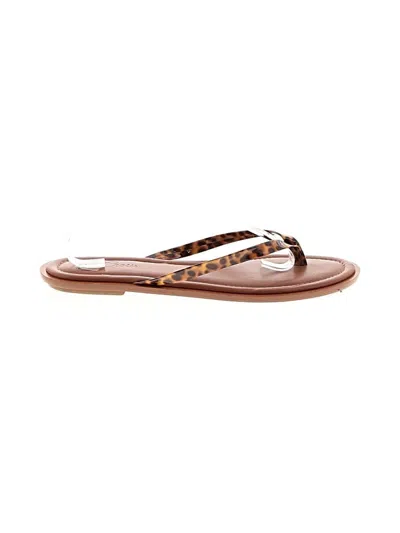Pre-owned Jcrew Flip Flops In Brown